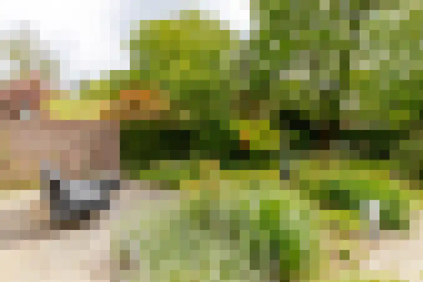 Jacob van Gaesbeeklaan 11 Driebergen-Rijsenburg thumbnail 50
