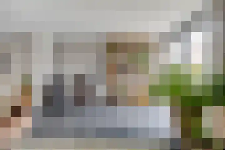 Jacob van Grimmesteijnstraat 13 Steenbergen thumbnail 15