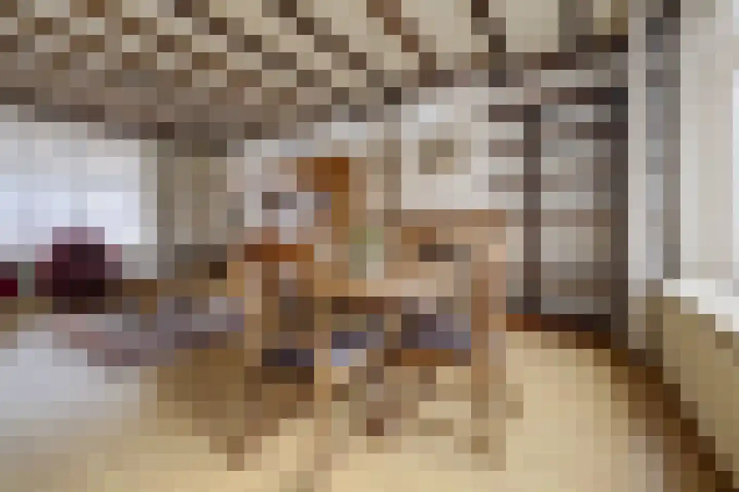 Jacob van Grimmesteijnstraat 21 Steenbergen thumbnail 16