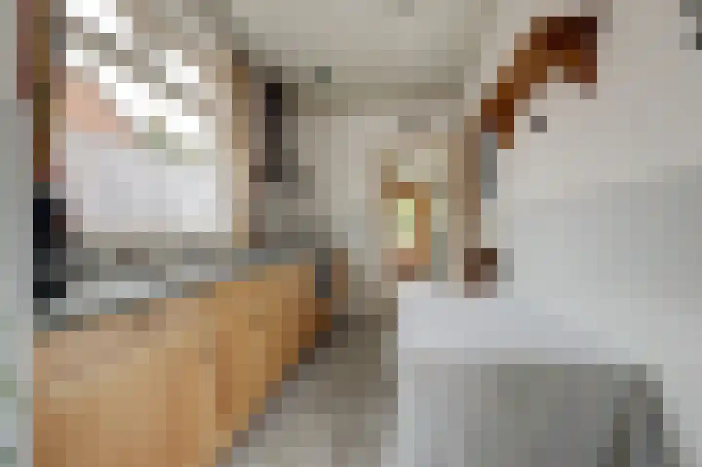Jacob van Grimmesteijnstraat 21 Steenbergen thumbnail 18