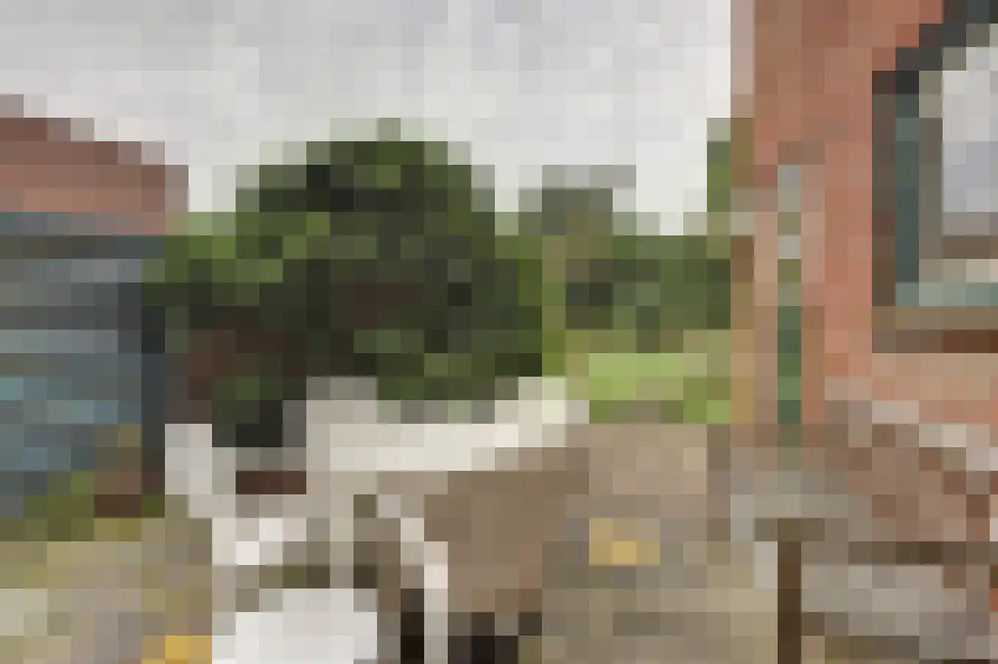 Jacob van Grimmesteijnstraat 21 Steenbergen thumbnail 33