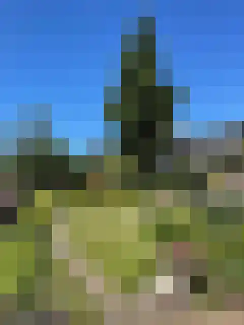 Jacob van Grimmesteijnstraat 21 Steenbergen thumbnail 36