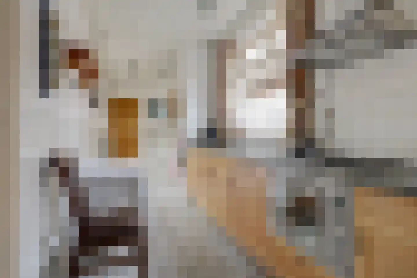 Jacob van Grimmesteijnstraat 21 Steenbergen thumbnail 4