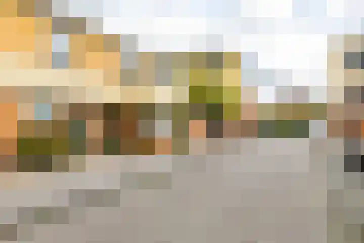 Jacob van Hattumstraat 1 Groningen thumbnail 10