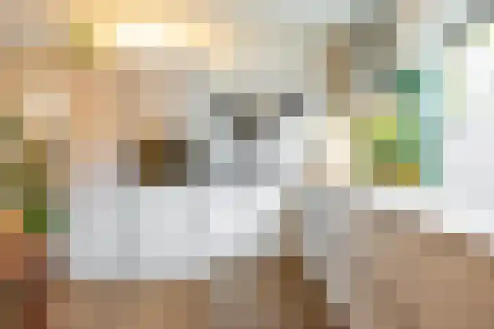 Jacob van Hattumstraat 1 Groningen thumbnail 24