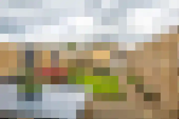 Jacob van Hattumstraat 1 Groningen thumbnail 30