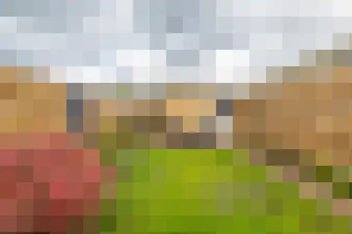Jacob van Hattumstraat 1 Groningen thumbnail 31