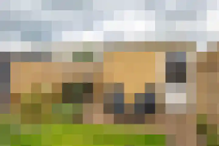 Jacob van Hattumstraat 1 Groningen thumbnail 32