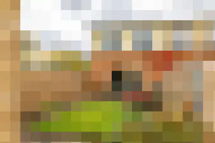 Jacob van Hattumstraat 1 Groningen thumbnail 33