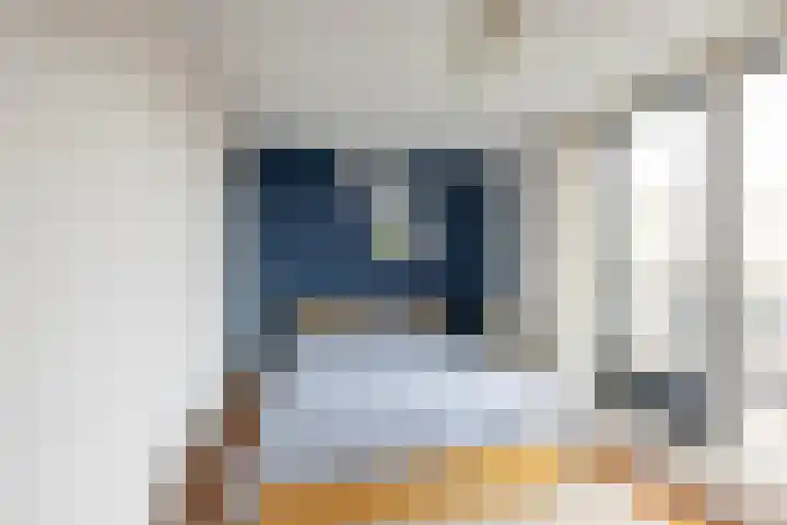 Jacob van Hattumstraat 1 Groningen thumbnail 4