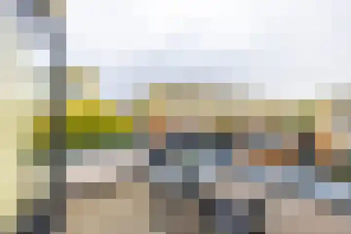 Jacob van Hattumstraat 1 Groningen thumbnail 42