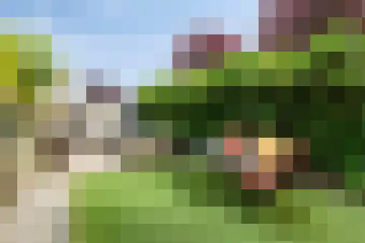 Jacob van Hattumstraat 31 Groningen thumbnail 28