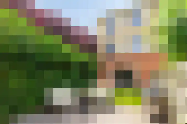 Jacob van Hattumstraat 31 Groningen thumbnail 30