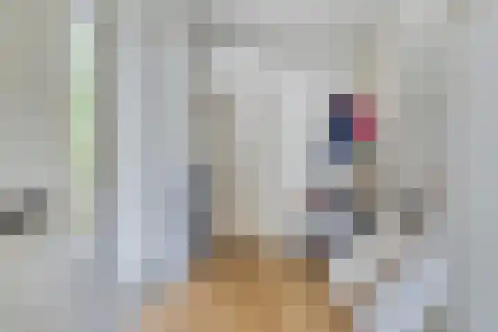 Jacob van Hattumstraat 31 Groningen thumbnail 7