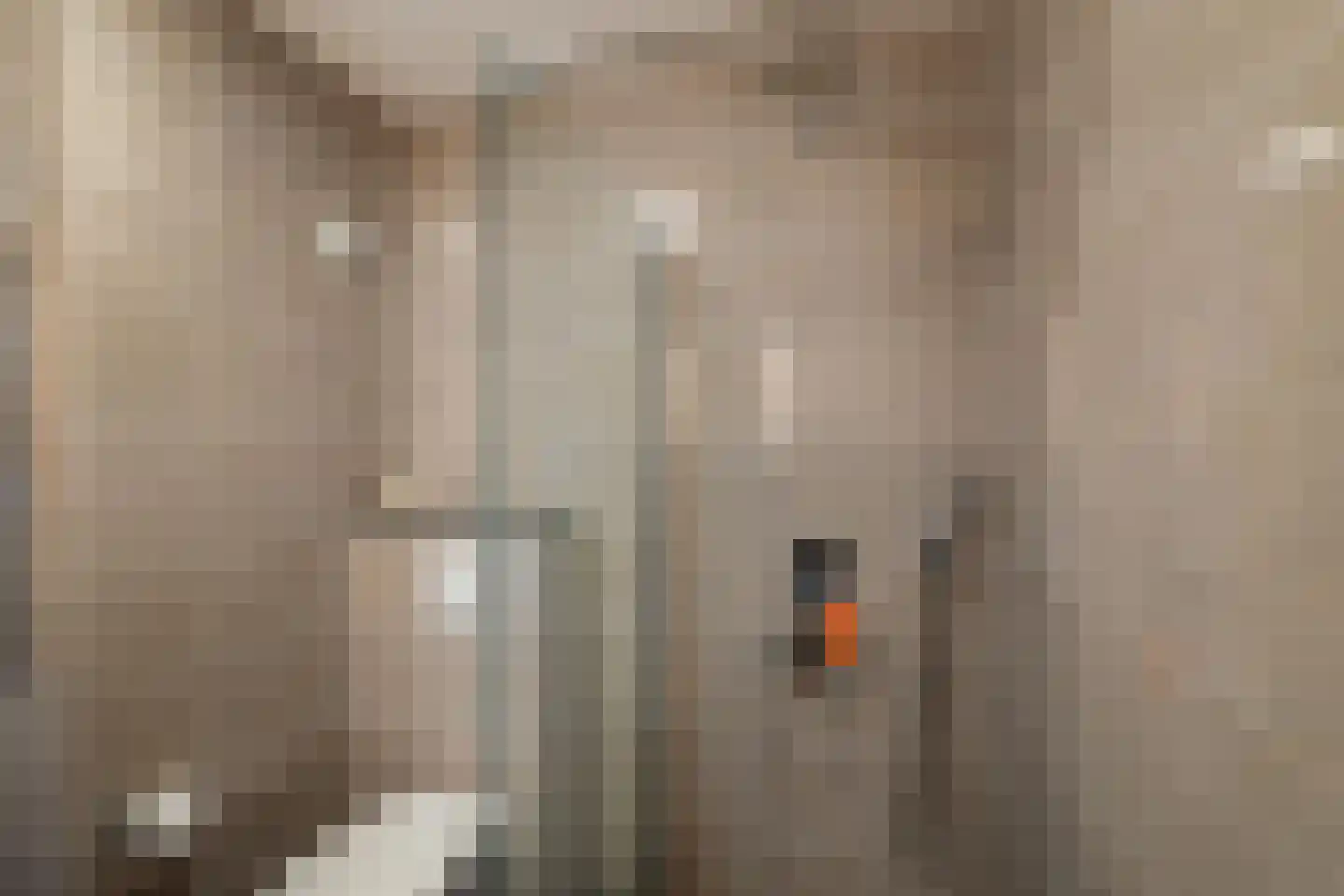 Jacob van Hattumstraat 39 Groningen thumbnail 32