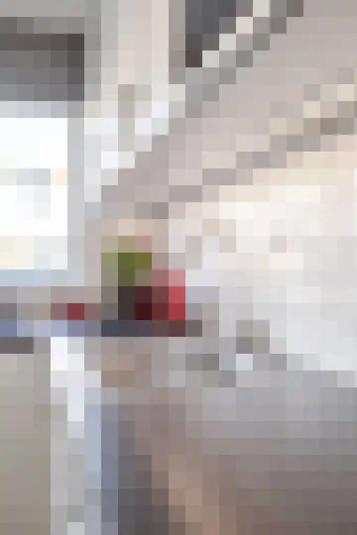 Jacob van Hattumstraat 60 Groningen thumbnail 26