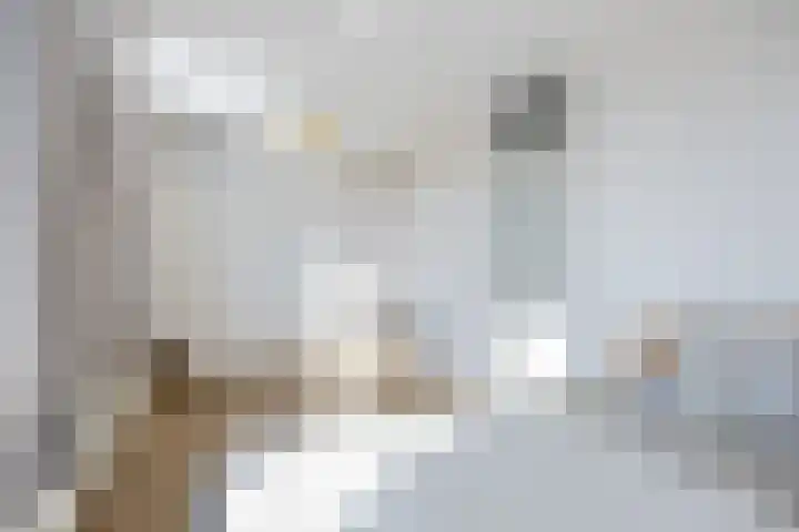 Jacob van Hattumstraat 60 Groningen thumbnail 39