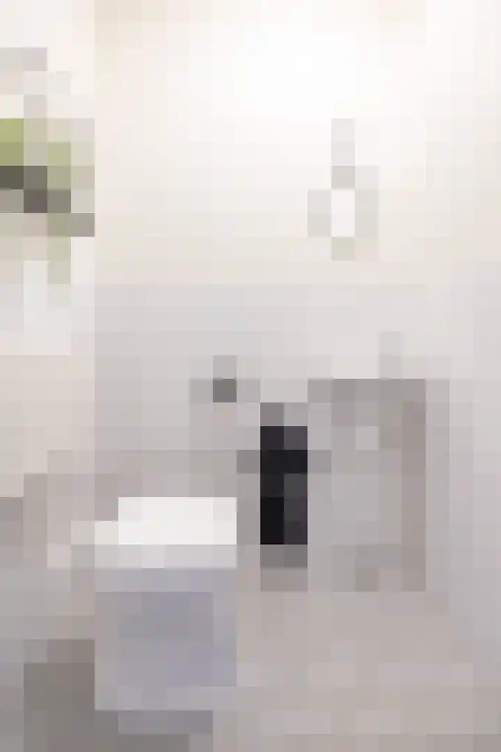 Jacob van Hattumstraat 7 Groningen thumbnail 19