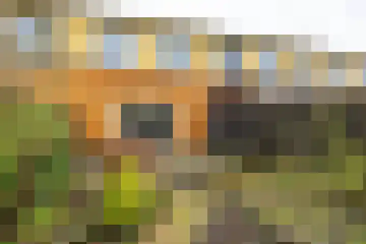 Jacob van Hattumstraat 7 Groningen thumbnail 37