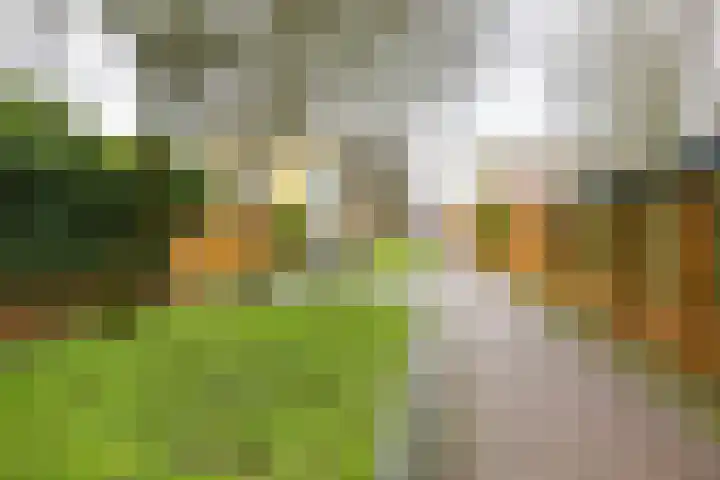 Jacob van Hattumstraat 7 Groningen thumbnail 38