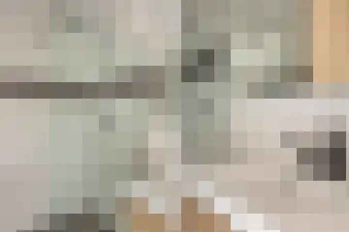 Jacob van Heemskercklaan 104 Maassluis thumbnail 29
