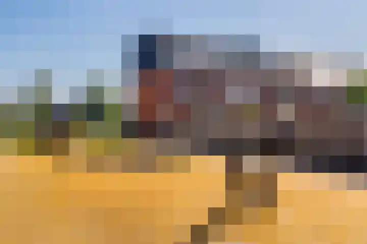 Jacob van Heemskercklaan 104 Maassluis thumbnail 38