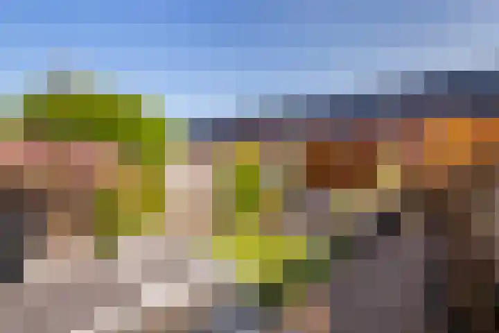 Jacob van Heemskercklaan 104 Maassluis thumbnail 4