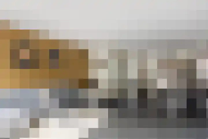 Jacob van Heemskercklaan 137 Maassluis thumbnail 14
