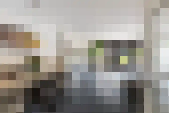 Jacob van Heemskercklaan 137 Maassluis thumbnail 16