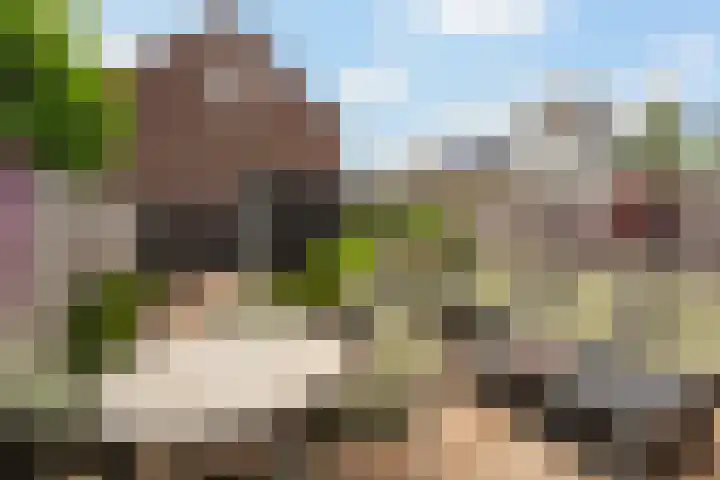 Jacob van Heemskercklaan 137 Maassluis thumbnail 23