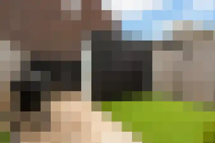 Jacob van Heemskercklaan 137 Maassluis thumbnail 24