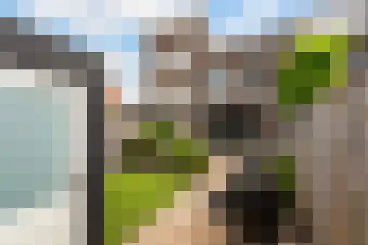 Jacob van Heemskercklaan 137 Maassluis thumbnail 27