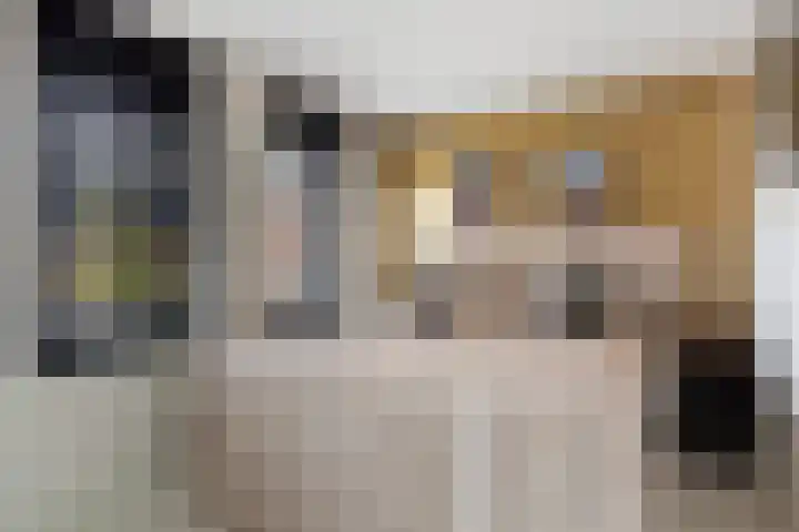 Jacob van Heemskercklaan 137 Maassluis thumbnail 35