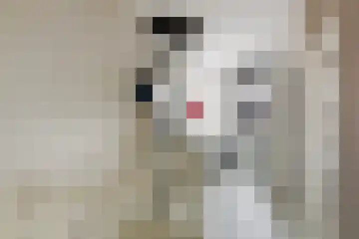 Jacob van Heemskercklaan 137 Maassluis thumbnail 42