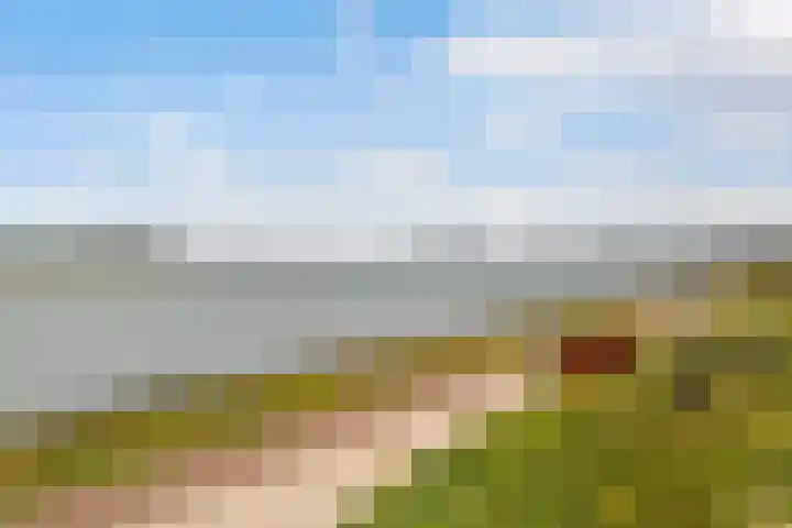 Jacob van Heemskercklaan 137 Maassluis thumbnail 46