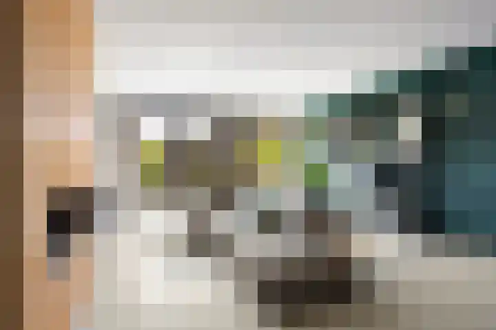 Jacob van Heemskercklaan 159 Maassluis thumbnail 13