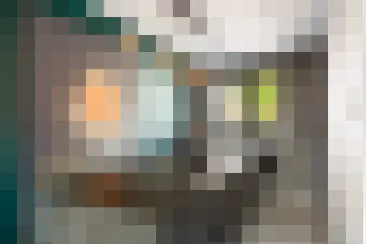 Jacob van Heemskercklaan 159 Maassluis thumbnail 21