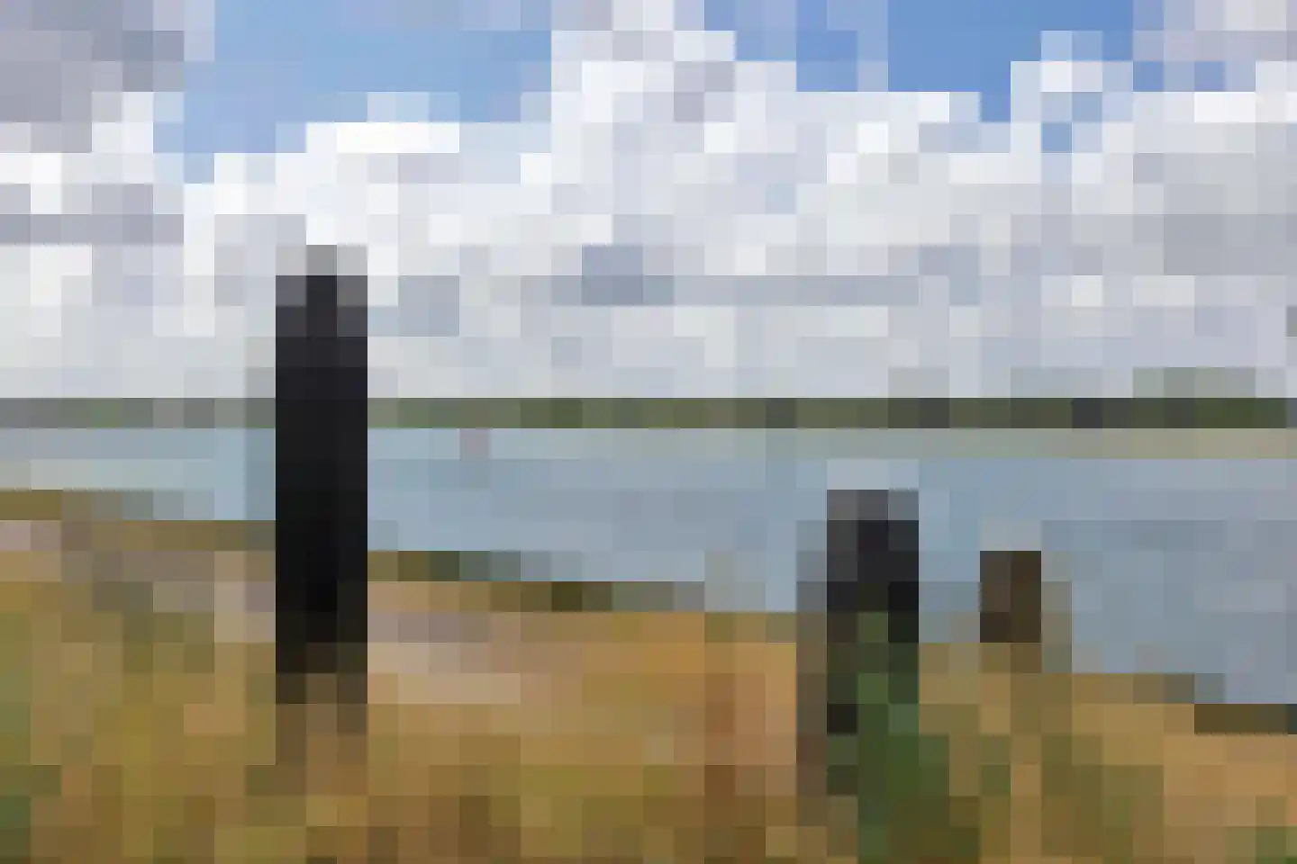 Jacob van Heemskercklaan 201 Maassluis thumbnail 36