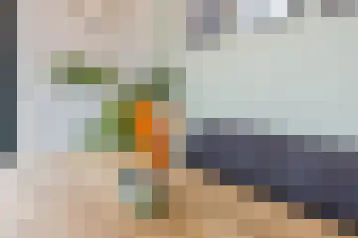 Jacob van Heemskercklaan 203 Maassluis thumbnail 14
