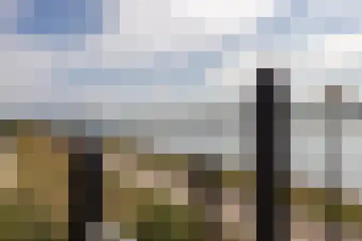 Jacob van Heemskercklaan 203 Maassluis thumbnail 35