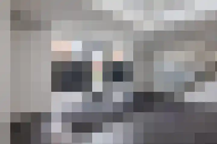 Jacob van Heemskercklaan 203 Maassluis thumbnail 7