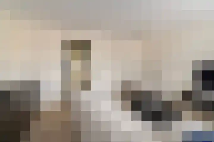 Jacob van Heemskercklaan 253 Maassluis thumbnail 6