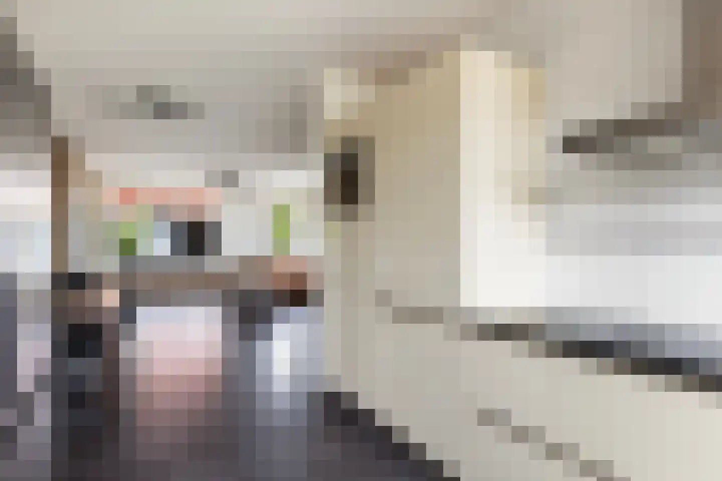 Jacob van Heemskercklaan 69 Maassluis thumbnail 18