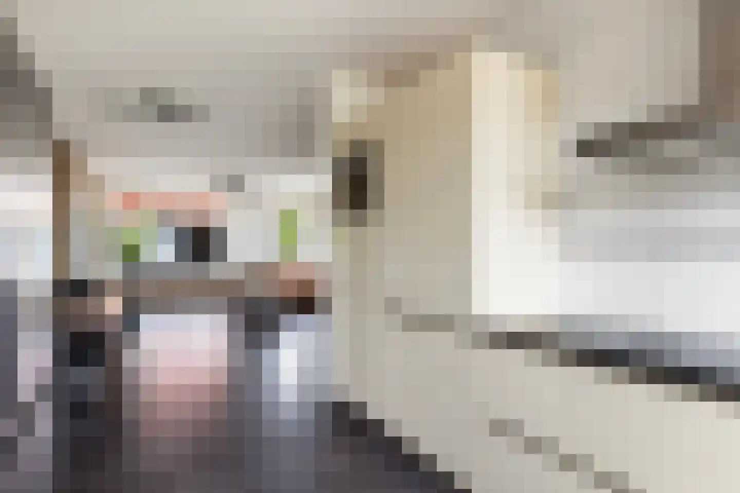 Jacob van Heemskercklaan 69 Maassluis thumbnail 18