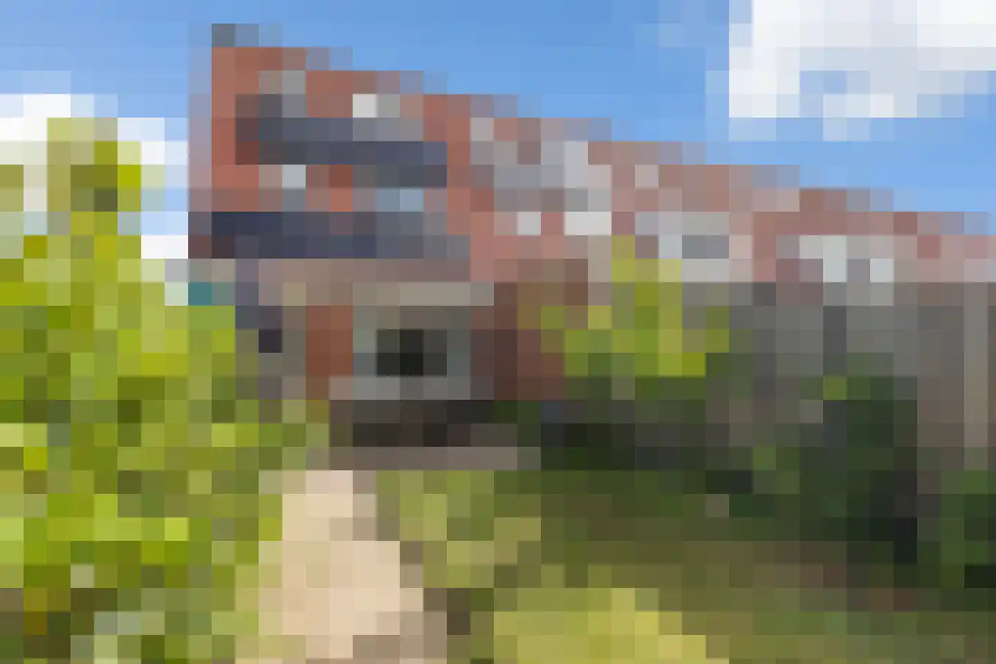 Jacob van Heemskercklaan 69 Maassluis thumbnail 4