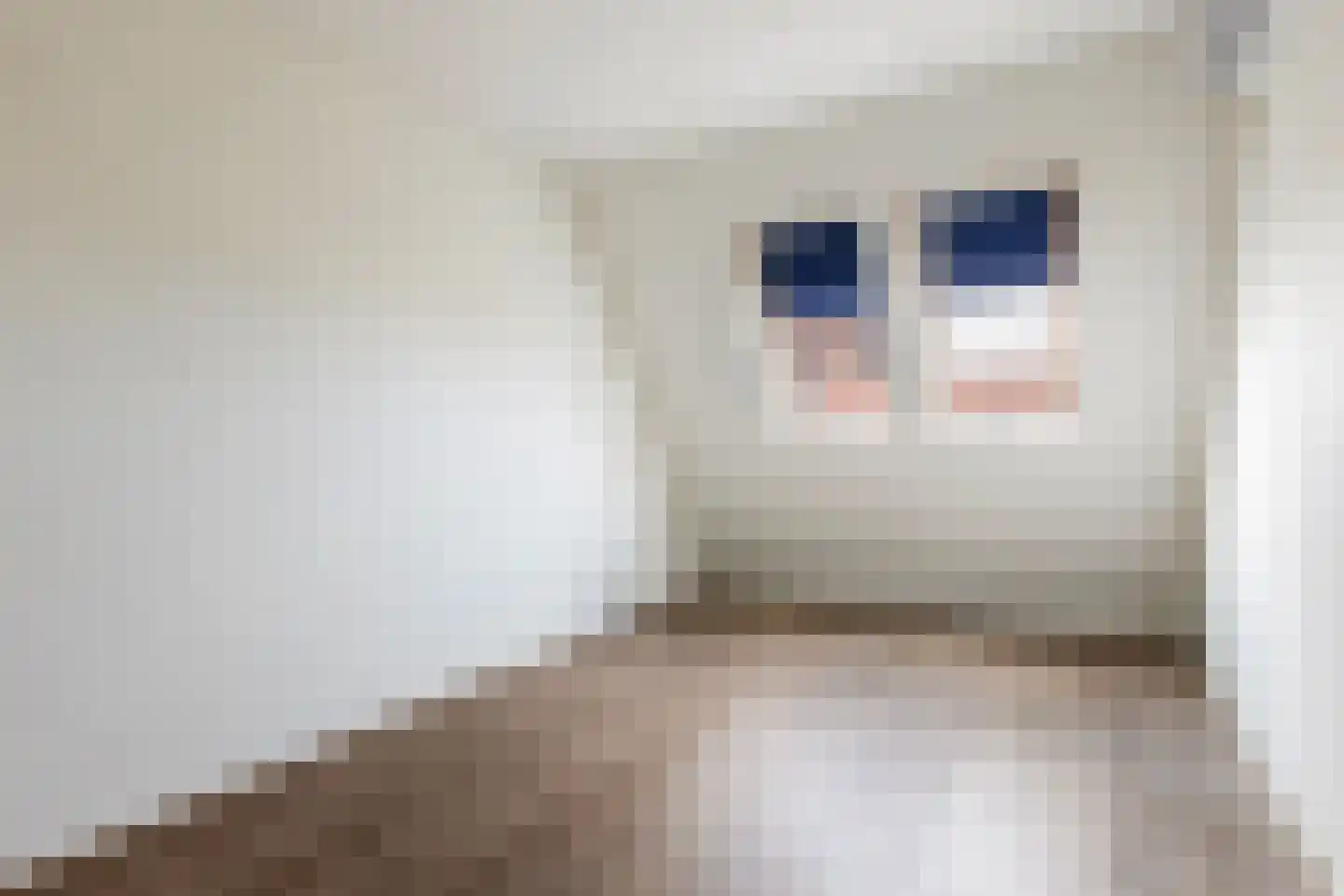 Jacob van Heemskercklaan 69 Maassluis thumbnail 41