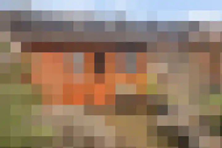 Jacob van Heemskercklaan 92 Maassluis thumbnail 16