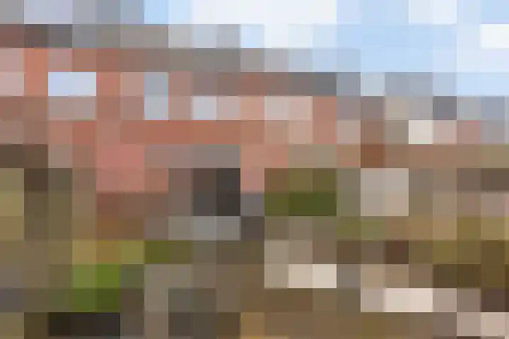 Jacob van Heemskercklaan 92 Maassluis thumbnail 17