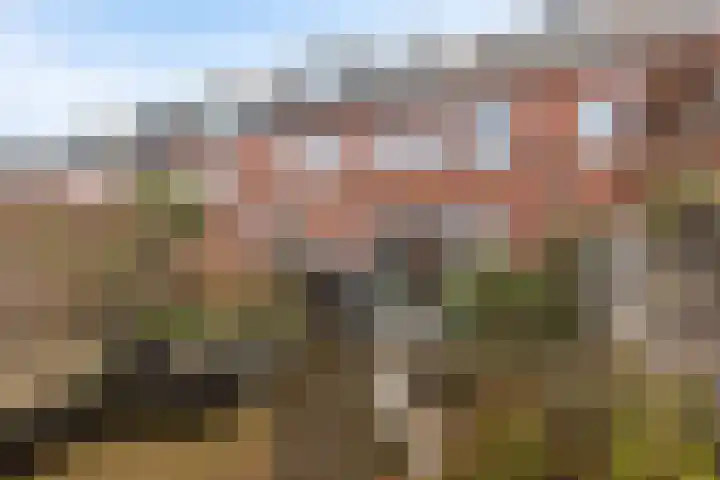 Jacob van Heemskercklaan 92 Maassluis thumbnail 18