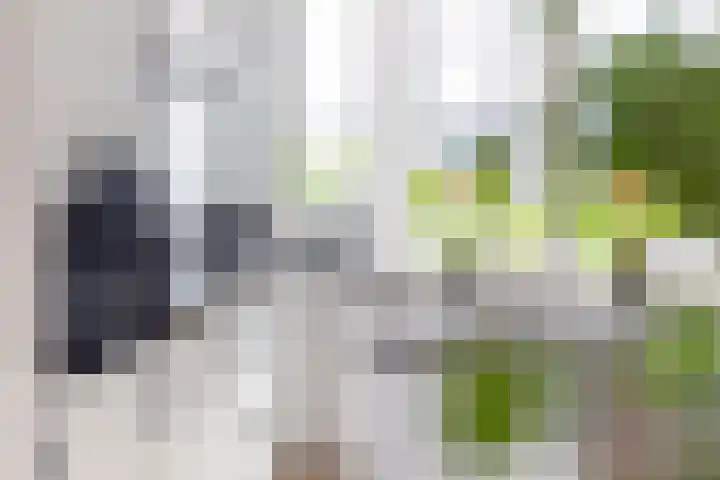 Jacob van Heemskercklaan 92 Maassluis thumbnail 23